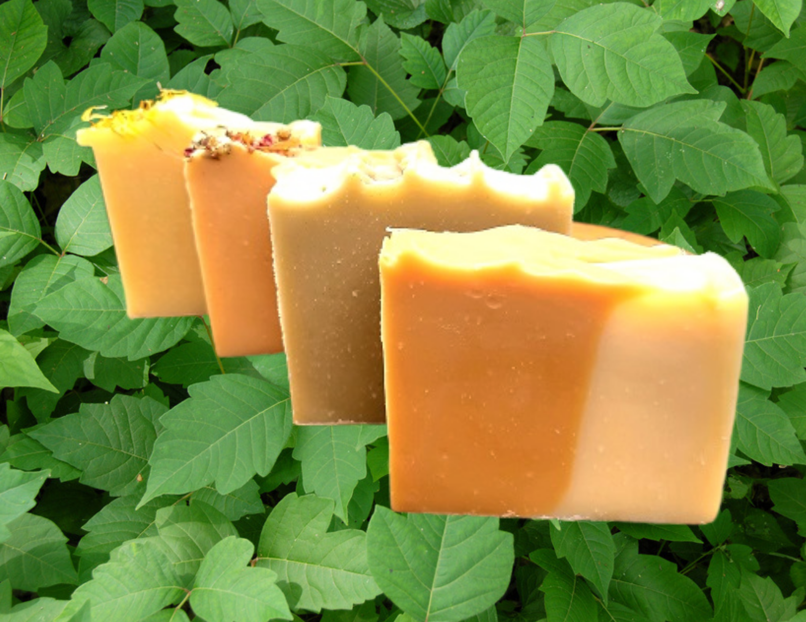 Jewelweed Soap - LIMITED TIME!